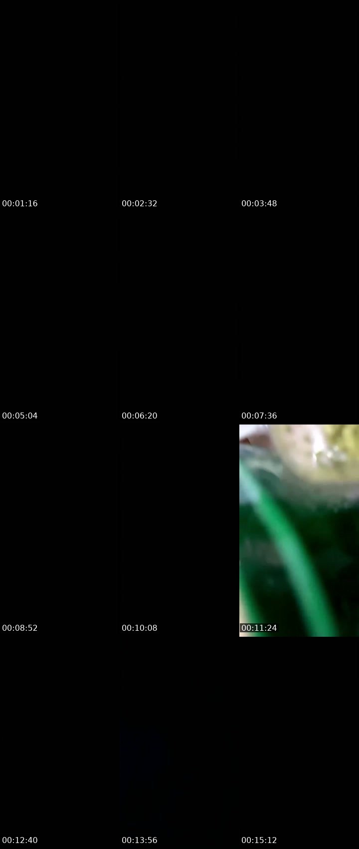 Contact-sheet preview of 🐆Dahab🩵 🤍's SuperLive recording