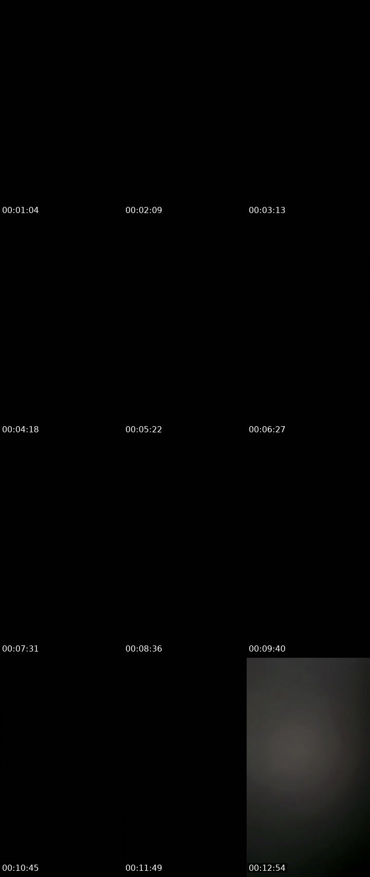 Contact-sheet preview of ❌❌❌fruit ❌❌forbidden's SuperLive recording